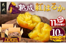 先行受付!【11月お届け】【農家直送】山下農園　熟成紅はるか 10kg_AA-I705-11_(都城市) 都城産 紅はるか S～2Lサイズ混合 山下農園 さつまいも兄弟 長期熟成 甘い