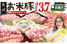 お米豚3.7kgセット≪みやこんじょ快速便≫_23-3101-R_(都城市) 豚肉 豚ロース 豚こま切れ 豚バラ肉 豚肩ロース ブランド豚 小分け シート仕切り スライス肉 14日以内にお届け  ギャル曽根さんおすすめの豚肉返礼品