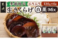 ≪季節限定!≫ぷりぷり食感の生きくらげ(白&黒Mix)130g×6パック_11-C901_(都城市) 生きくらげ 黒きくらげ 白きくらげ ヘルシー 130g  6パック