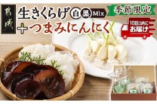 ≪季節限定!≫ぷりぷり食感の生きくらげ(白&黒Mix)+つまみにんにくセット≪みやこんじょ特急便≫_11-C902-Q_(都城市)生きくらげ 黒きくらげ 白きくらげ 130g×3パック つまみにんにく スーパーフード