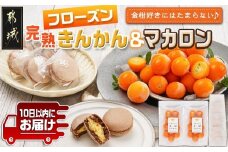 完熟きんかんのフローズンセット≪みやこんじょ特急便≫_AA-J701-Q_(都城市) 氷結きんかん 完熟きんかんマカロン 急速冷凍 浅井万十店と内山金柑園のコラボ スイーツ
