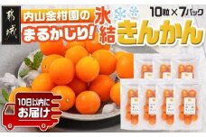 内山金柑園のまるかじり氷結きんかん7パック≪みやこんじょ特急便≫_AO-J703-Q_(都城市) 内山金柑園 完熟きんかん 氷結きんかん 急速冷凍 糖度16％以上 シャーベット 10粒