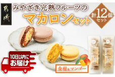 みやざき完熟フルーツのマカロンセット(金柑&マンゴー)≪みやこんじょ特急便≫_AA-J703-Q_(都城市) マカロン 和かろん 完熟きんかん 完熟マンゴー スイーツ お菓子
