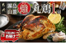 【たしろ屋】都城産キジ(丸鶏1羽) ≪みやこんじょ特急便≫_18-9902-Q_(都城市) キジ丸鳥 1羽 キジ 雉 日本の国鳥 高たんぱく質 高級食材 希少