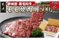 黒毛和牛モモ焼肉用500g_14-3302_ (都城市) 都城産黒毛和牛 モモ 250g×2P 黒毛和牛 牛肉 焼肉 小分け 真空パック 冷凍