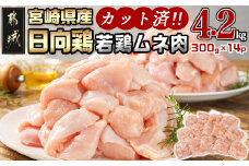 日向鶏 若鶏ムネ肉カット済4.2kg_MJ-1562_(都城市) ムネ肉 4.2kg 宮崎県産 日向鶏若鶏 大容量 冷凍 唐揚げ チキン南蛮
