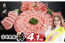 宮崎県産豚わくわく4.1kgセット(真空)_AC-8403-s_(都城市) 豚肉  豚肉セット 宮崎県産豚 しゃぶしゃぶ バラ 焼肉 切り落とし 肩ローススライス ロース とんかつ ミンチ  ギャル曽根さんおすすめの豚肉返礼品