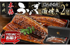 職人手焼きの本格うなぎ蒲焼き2尾≪みやこんじょ特急便≫_MJ-3305-Q_(都城市) 鰻蒲焼 特製たれ付き 国産うなぎの蒲焼き 2尾 ふっくら 10日以内にお届け うなぎ