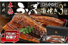 職人手焼きの本格うなぎ蒲焼き3尾≪みやこんじょ特急便≫_AC-3301-Q_(都城市) 鰻蒲焼 3尾 (総重量450g以上) タレ付き (30ml×3個) 国産うなぎの蒲焼き 特製たれ付き 冷凍 ウナギ かば焼き うなぎ