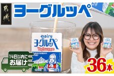 ヨーグルッペ36本セット≪みやこんじょ快速便≫_11-2306-R_ (都城市) 乳製品乳酸菌飲料 ヨーグルッペ 200ml 18本 2ケース 合計36本 紙パック プレーン味 ご当地ドリンク デーリィ南日本酪農協同 Dairy 大人