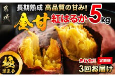 【先行受付】【3回お届け!】都城産 長期熟成紅はるか 5kg 定期便≪2025年10月下旬頃より順次お届け≫_TAA3-I201-10_(都城市) 都城産 さつまいも 熟成紅はるか 秀品 5kg サイズ未選別 S～L 