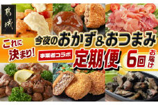 【事業者コラボ定期便】今夜のおかず＆おつまみはこれに決まり！6回定期便_T74-MY01_(都城市) 宮崎県産鶏 チキン南蛮 オリジナルタルタルソース 観音池ポーク モモ 生ハム 黒豚 とんぷきん 宮崎牛 合挽ハンバーグ メンチカツ 豚ハラミ 観音池ポーク 生メンチカツ 炭火焼鶏 ゆずこしょう付