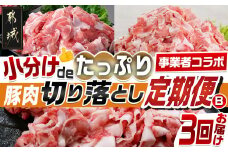 【事業者コラボ定期便】小分けdeたっぷり！豚肉切り落とし3回定期便B_T45-MY09_(都城市) Mの国黒豚 黒豚 とんぷきん都城美鮮豚 ウデ モモ モモ肩 切り落とし 小間切れ 真空