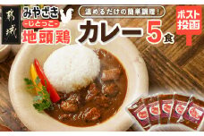 トプカ☆みやざき地頭鶏カレー5食セット※ポスト投函_LD-J901_(都城市) カレー専門店 手づくり みやざき地頭鶏 欧風カレー レトルト ポスト投函