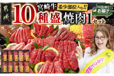 宮崎牛食べ比べ10種盛り焼肉セット≪みやこんじょ快速便≫_17-3102-R_(都城市) 都城産 宮崎牛 A4ランク 焼肉 セット 内モモ カタ トンビ ランプ ラムシン マルシン カメノコ イチボ マルカワ ミスジorトモサンカク 10種類 贈答用 14日以内にお届け  ギャル曽根さんおすすめの牛肉返礼品