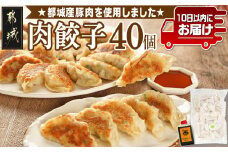 831ハチサンイチの肉餃子40個入り≪みやこんじょ特急便≫_LE-K601-Q_(都城市) 肉餃子40個 都城産豚使用 柚子胡椒たれ付 