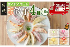 カラフル冷凍生餃子 食べ比べセット4種合計40個★肉・梅しそ・チーズ・キムチ★ ≪みやこんじょ特急便≫_LG-K601-Q_(都城市) 肉餃子 都城産豚肉使用 合計40個 4種類 柚子胡椒たれ付