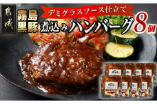 霧島黒豚煮込みハンバーグ(デミグラスソース仕立て)8個セット_LG-2802_(都城市) 霧島黒豚煮込みハンバーグ デミグラスソース仕立て 120g×8個 加工品