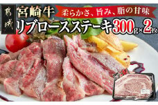 宮崎牛リブロースステーキ300g×2枚_17-2502_(都城市) 都城産 宮崎牛 牛肉 リブロース ステーキ 霜降り 塩こしょう ステーキソース付 300g×2枚 600g