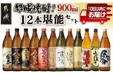 都城焼酎!12本堪能セット≪みやこんじょ特急便≫_AG-2201_(都城市) 本格芋焼酎 麦焼酎 白霧島 黒霧島 黒霧島EX 赤霧島 茜霧島 虎斑霧島 霧島するる 霧島ほろる KIRISHIMA NO.8 みやこざくら みやこんじょ黒 駒 25度 20度 各900ml