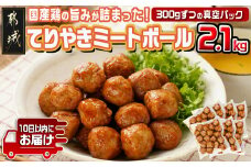 てりやきミートボール!2.1kg!真空小分けパック!≪みやこんじょ特急便≫_LG8-3305-Q_(都城市) 国産鶏肉 ミートボール 特製てりやきタレ味付 お弁当 おかず 備蓄用 サッと 調理済み 簡単時短調理！ 真空・小分け包装