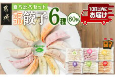 カラフル冷凍生餃子 食べ比べセット6種合計60個 ★肉・梅しそ・チーズ・生姜・野菜・キムチ★ ≪みやこんじょ特急便≫_14-K601-Q_(都城市) 肉餃子 都城産豚肉使用 合計60個 6種類 柚子胡椒たれ付