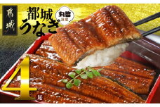 宮崎県育ちのうなぎ蒲焼4尾720g以上≪山椒・たれ付≫_AE-M301_(都城市) うなぎ蒲焼(有頭) 宮崎県産 真空 山椒・たれ付