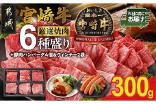 宮崎牛6種盛り焼肉食べ比べ300g+豚肉ハンバーグ&ウィンナー≪みやこんじょ快速便≫_16-N204-R-ESHW-CF_(都城市)  ギャル曽根さんおすすめの牛肉返礼品 牛肉 肉