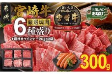 宮崎牛6種盛り焼肉食べ比べ300g+粗挽きウインナー90g×2袋≪みやこんじょ快速便≫_16-N204-R-ESW-CF_(都城市)  ギャル曽根さんおすすめの牛肉返礼品 牛肉 肉