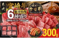 宮崎牛6種盛り焼肉食べ比べ300g+粗挽きウインナー90g×2袋_16-N204-ESW-CF_(都城市)  牛肉 焼き肉 サーロイン リブ ウデ モモ バラ 肩ロース BBQ バーベキュー ギャル曽根さんおすすめの牛肉返礼品 牛肉 肉