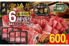 宮崎牛6種盛り焼肉食べ比べ600g+粗挽きウインナー90g×2袋≪みやこんじょ快速便≫_21-N201-R-ESW-CF_(都城市)   ギャル曽根さんおすすめの牛肉返礼品 牛肉 肉