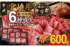 宮崎牛6種盛り焼肉食べ比べ600g+粗挽きウインナー90g×2袋_21-N201-ESW-CF_(都城市)   牛肉 焼き肉 サーロイン リブ ウデ モモ バラ 肩ロース BBQ バーベキュー ギャル曽根さんおすすめの牛肉返礼品 牛肉 肉