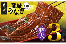 宮崎県育ちの【特大】うなぎ蒲焼3尾680g以上≪山椒・たれ付≫_29-M301_(都城市) 特大うなぎ蒲焼(有頭) 宮崎県産 真空 山椒・たれ付