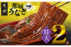 宮崎県育ちの【特大】うなぎ蒲焼2尾440g以上≪山椒・たれ付≫_18-M301_(都城市) 特大うなぎ蒲焼(有頭) 宮崎県産 真空 山椒・たれ付
