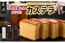 学習院蓁々会コラボ☆カステラセット(1斤分)_AA-7610_(都城市) 都城産鶏卵使用 0.5斤×2 スイーツ デザート 厳選米飴使用 焼き菓子 お土産 贈答用 ギフト 学習院 蓁々会