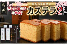 学習院蓁々会コラボ☆カステラセット(2斤分)_16-7601_(都城市) 都城産鶏卵使用 0.5斤×4 スイーツ デザート 厳選米飴使用 焼き菓子 お土産 贈答用 ギフト 学習院 蓁々会