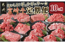 おいしさギュウギュウ♪宮崎牛定期便(10ヶ月)_T190-10-6501_(都城市) 宮崎牛 牛うで 牛もも 焼肉　BBQ モモステーキ サイコロ 切り落とし 肩ロース ミンチ 定期便
