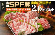 「宮崎SPF豚」肉肉バラエティ2.6kgセット_MJ-K901_(都城市) 宮崎県産豚 小間切れ ロース 肩ローススライス バラ トンカツ トンテキ ミンチ