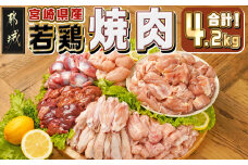 宮崎県産若鶏焼肉4.2kgセット_18-M604_(都城市) 宮崎県産 若鶏 鶏肉 もも 砂肝 肝 手羽中 肩肉 せせり 唐揚げ チキン南蛮 カレー 焼き物
