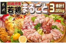 宮崎県産若鶏まるごと3.05kgセット_14-M601_(都城市) 宮崎県産 若鶏 鶏肉 もも むね ささみ 砂肝 手羽先 手羽中 手羽元 せせり 肩肉 切身 骨付きもも 皮なし 筋なし 唐揚げ チキン南蛮 煮物