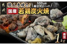 ≪超小分けパック≫職人手焼き!国産若鶏炭火焼1kg_LE-3322_(都城市) 国産若鶏 若鶏炭火焼(もも・むね)  小分け 100g 宮崎名物 鶏炭火焼 おつまみ