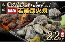 ≪超小分けパック≫職人手焼き!国産若鶏炭火焼2.2kg_AA-3311_(都城市) 国産若鶏 若鶏炭火焼(もも・むね)  小分け 100g 宮崎名物 鶏炭火焼 おつまみ