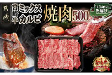 宮崎牛ミックスカルビ焼肉500g≪みやこんじょ快速便≫_14-8902-R_(都城市) 宮崎県産 宮崎牛 ミックスカルビ  焼肉 バーベキュー 赤身 サシ 旨み・風味・食感 ウデ・バラ・肩ロース・モモ