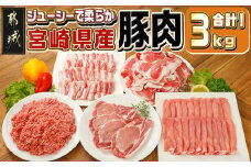 宮崎県産豚肉3kgセット_MJ-M601_(都城市) 宮崎県産 豚肉 ロース 肩ロース バラ 切り落とし ミンチ すき焼き とんかつ 焼肉 ハンバーグ