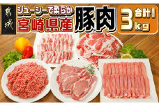 宮崎県産豚肉3kgセット_MJ-M601_(都城市) 宮崎県産 豚肉 ロース 肩ロース バラ 切り落とし ミンチ すき焼き とんかつ 焼肉 ハンバーグ