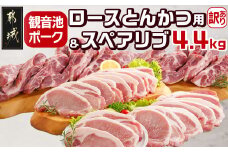 観音池ポークロースとんかつ用【訳あり】&スペアリブ4.4kg_AC-9219_(都城市) 都城産豚 観音池ポーク 訳あり ロースとんかつ用/スペアリブ