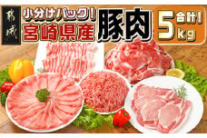 宮崎県産豚肉5kgセット_AC-M601_(都城市) ロース バラ 切り落とし ミンチ すき焼き とんかつ 焼肉 炒め物 ハンバーグ