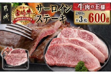 宮崎牛サーロインステーキ(200g×3枚)_26-N401_(都城市) 4等級以上 ステーキ 牛肉 宮崎牛 和牛 国産 サーロイン 霜降り 真空パック 600g 贈答用 ギフト