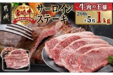 宮崎牛サーロインステーキ(200g×5枚)_38-N402_(都城市) ステーキ 牛肉 宮崎牛 和牛 国産 サーロイン 1kg 贈答用 ギフト