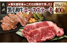 新光星牧場☆黒毛和牛ロースステーキ400g_MJ-M901_(都城市) 都城産 黒毛和牛 ロース リブロース ステーキ 400g 2枚
